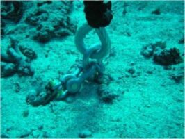 Rip Curl Planet investit pour la protection des récifs coraliens