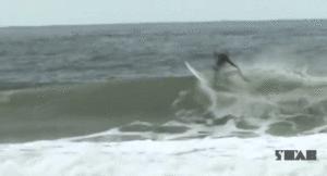 BEST-OF : le Alley-Oop déjà historique de Kelly Slater à Rio