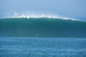 Best-of janvier 2012