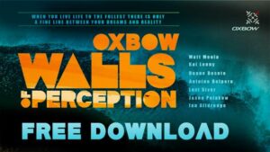 ‘Walls of Perception’ en téléchargement gratuit