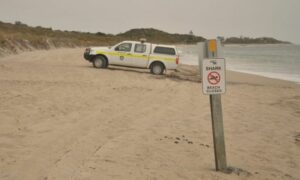 Attaque de requin mortelle en west OZ