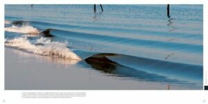 La Réunion : un surfeur de 22 ans tué par un requin