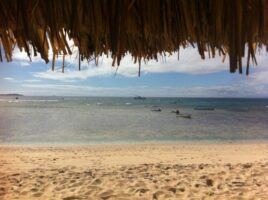 Tom Cloarec : "Mon premier trip à Fidji" #4