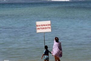 Le surf et le bodyboard interdits à la Réunion
