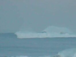 Comment suivre Belharra toute la journée