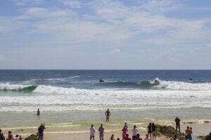 Australie : un requin capturé près de Snapper Rocks