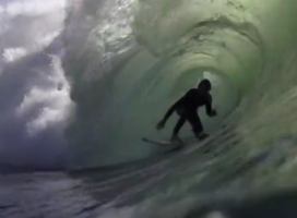 Immortelle La Gravière