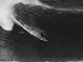 Mission Irlande pour Michel Bourez