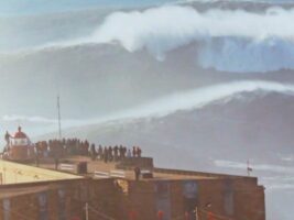 Big Animal Thursday : Nazaré, 11 décembre