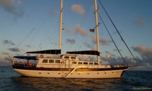 [Best-of]  Boat Trip Bad Trip aux Maldives