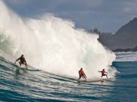 L’Eddie Aikau n’aura pas lieu mercredi