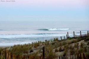 L’actu du mois en Gironde #1