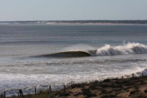 L’actu du mois à Paris #1