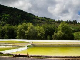 Le premier Wavegarden américain ouvrira au Texas