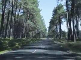 Cocorico Surf, épisode 1