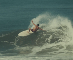 Jared Mell // Blazed & Amused