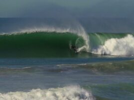 Taylor Knox // Californie