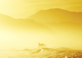 Andy Crière // France