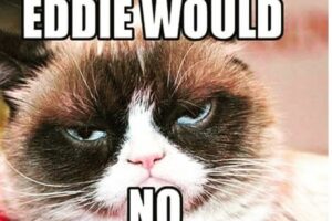 Dernière minute : l’Eddie Aikau annulé !