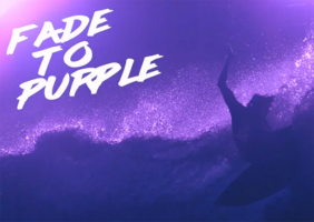 Matt Meola // Fade To Purple