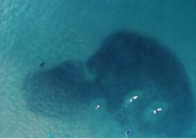 Magie de la nature capturée en drone à Bondi Beach
