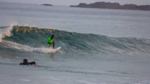 Photos : un requin blanc coupe la route à un kid