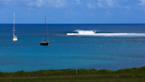 Just Passing Through&nbsp;: nouvel épisode avec Fanning, Machado, Otton, Jones