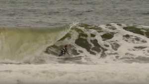 Lost in the Swell : ça surfe parmi les requins