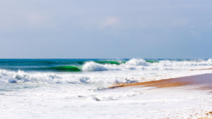Mick Fanning révèle la localisation de The Snake !