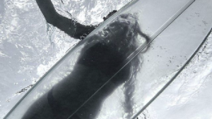 Une planche de surf 100% transparente !