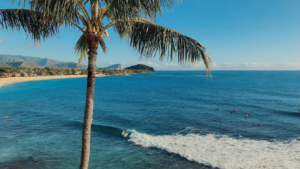 Mega Aloha à Makaha