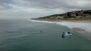 Afrique du Sud : quand des dauphins s’accaparent le line-up