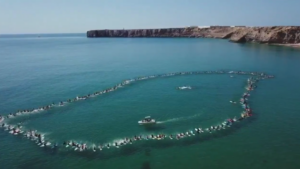 Portugal : des centaines de surfeurs rament pour la nature