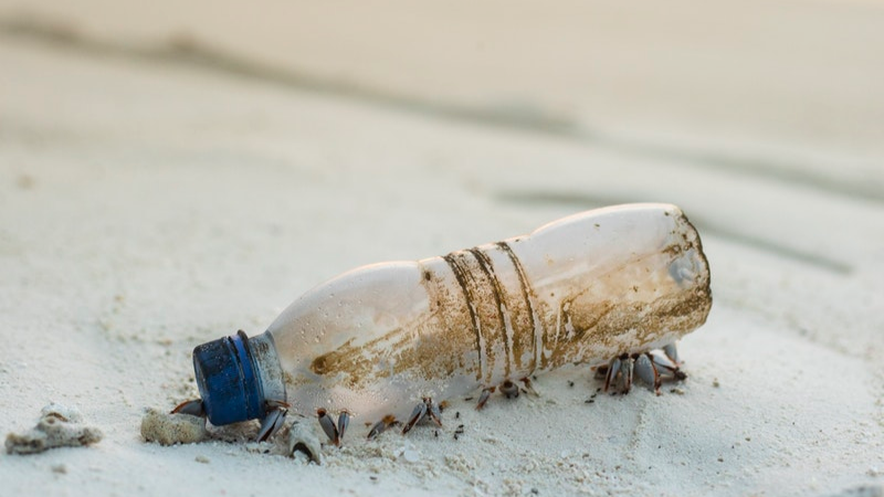 Fin des plastiques jetables : 8 produits interdits dans l'Union européenne