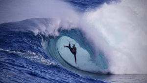 Ours&nbsp;: le réveil du slab le plus dangereux d&rsquo;Australie