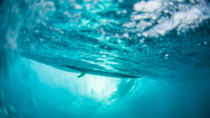 Des planches de surf en filets de pêche recyclés ?