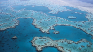 La Grande Barrière de corail plus que jamais en danger