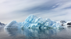 Le nouvel échec d’un sanctuaire marin en Antarctique