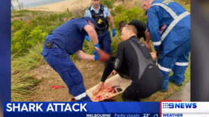 Deux surfeurs mordus par un requin cette semaine