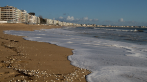 Des plages ont été rouvertes dans le Finistère et en Loire-Atlantique
