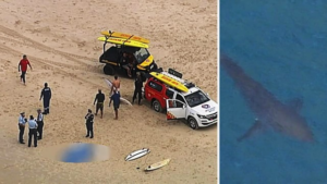 Un surfeur tué par un requin à l’est de l’Australie