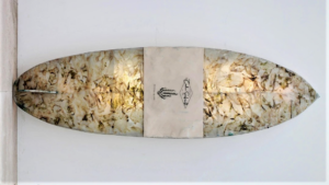 Des planches de surf à base d’algues ?