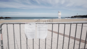 Suspension : ou comment les surfeurs du Pays Basque ont vécu le confinement