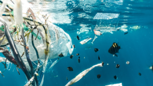Micro-plastiques : réagir face à un nouveau type de pollution