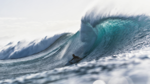 Ascension, ou la difficulté d’accéder à l’élite par Adin Masencamp