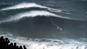 C’est la saison des compètes de gros