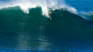 La Vaca Gigante a meuglé son verdict !