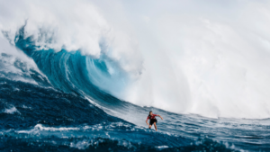 Les surfeuses de Maui ont chargé cet hiver
