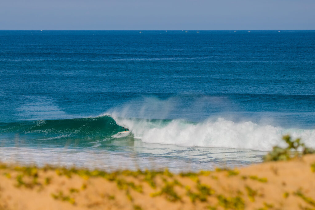 Seb Picaud Landes