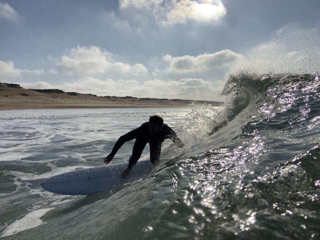 Surfin Estate action